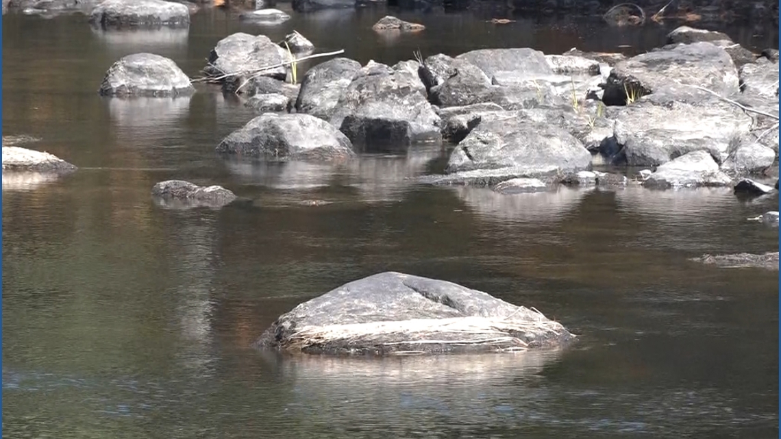 Extreme drought threatens survival of Maine's brook trout and salmon