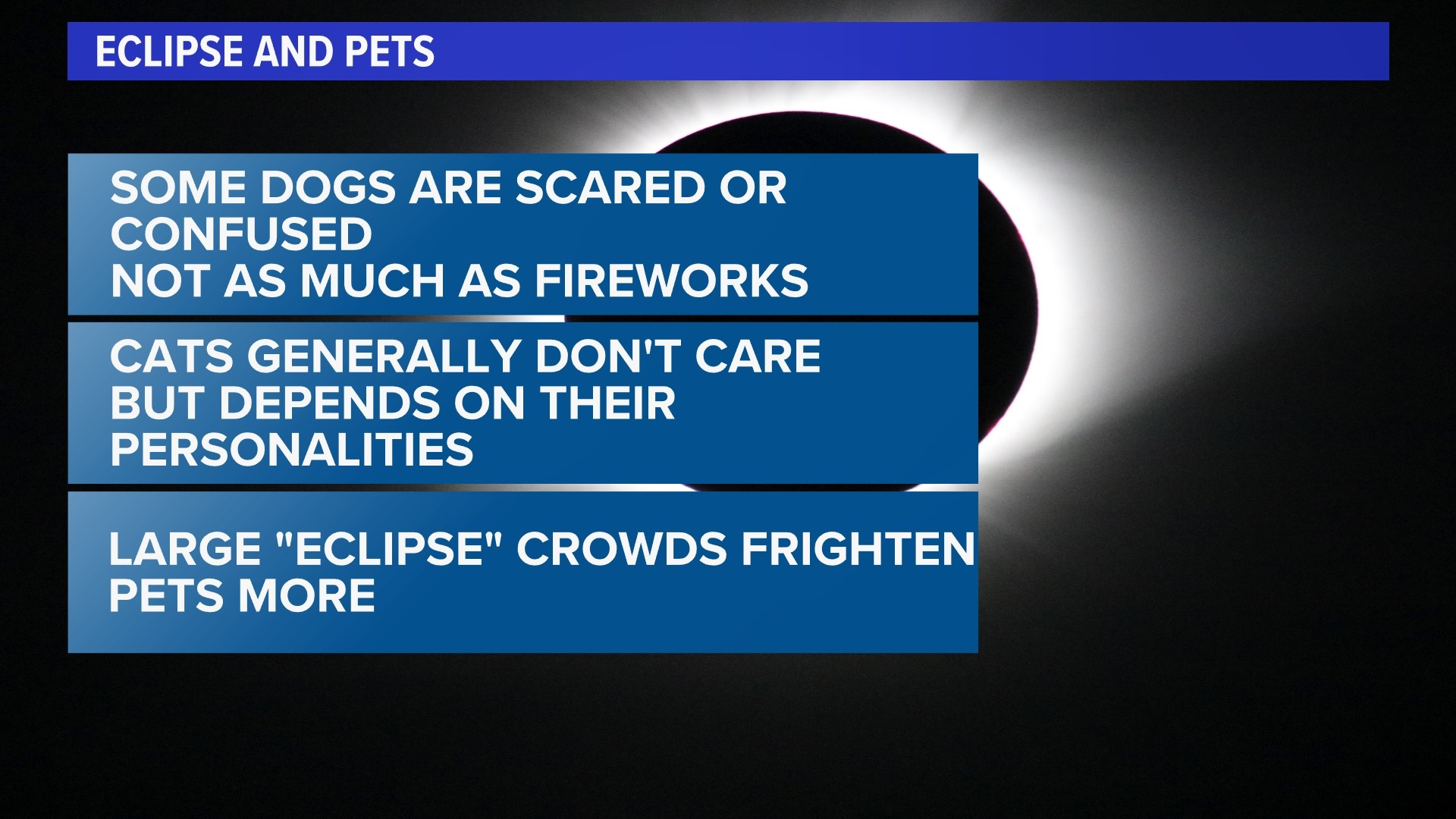 Eclipse: Wildlife, pets expected to act differently in totality ...