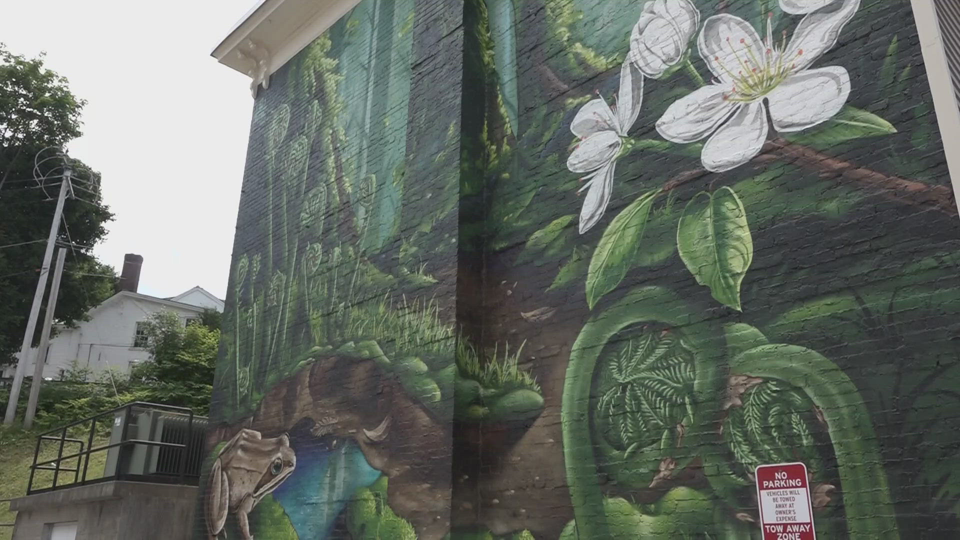 New murals in Bangor aim to beautify the Queen City and highlight ...