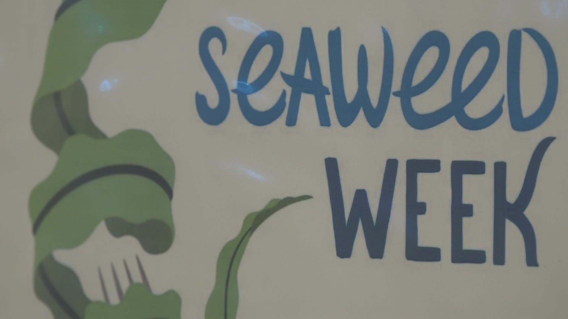 Maine leads the country in seaweed aquaculture with more than 35 seaweed farms.