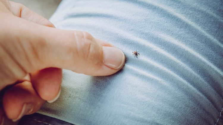 Maine patients want labs to provide more Lyme testing data