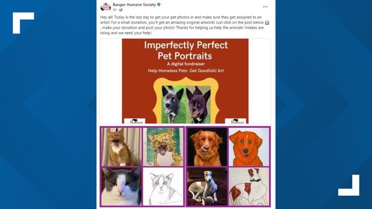 'Imperfectly Perfect Pet Portrait' fundraiser to benefit Bangor Humane Society