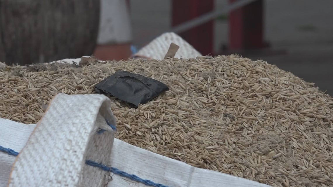 Maine might have a fix to soaring grain prices | newscentermaine.com - Vimarsana News