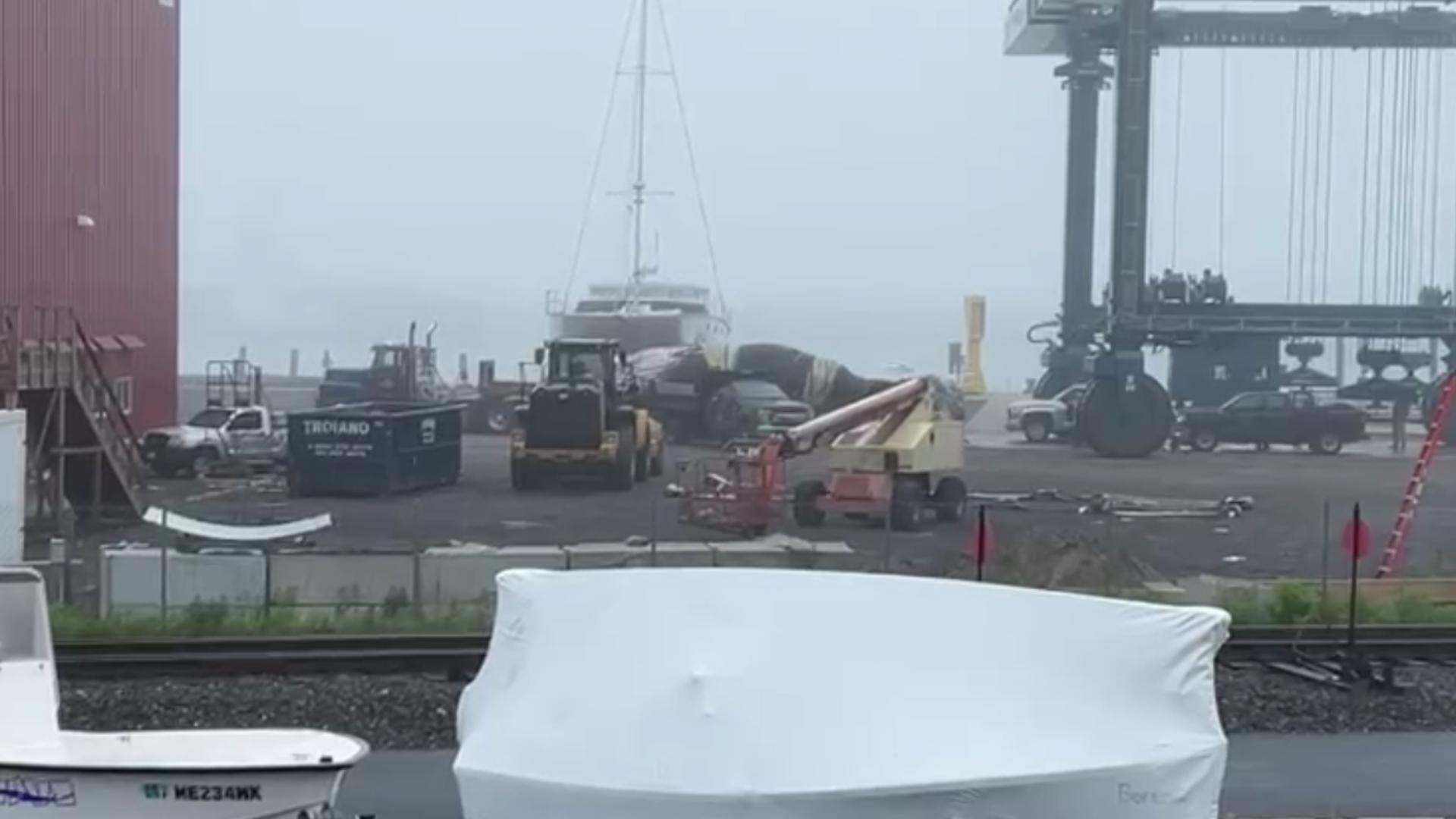 Portland Harbor Master Kevin Battle told NEWS CENTER Maine a whale was pulled from the water around noon on Thursday.