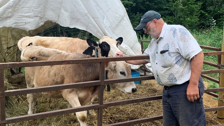 'There are no tears left' Arundel dairy farmer devastated by PFAS fights for state help