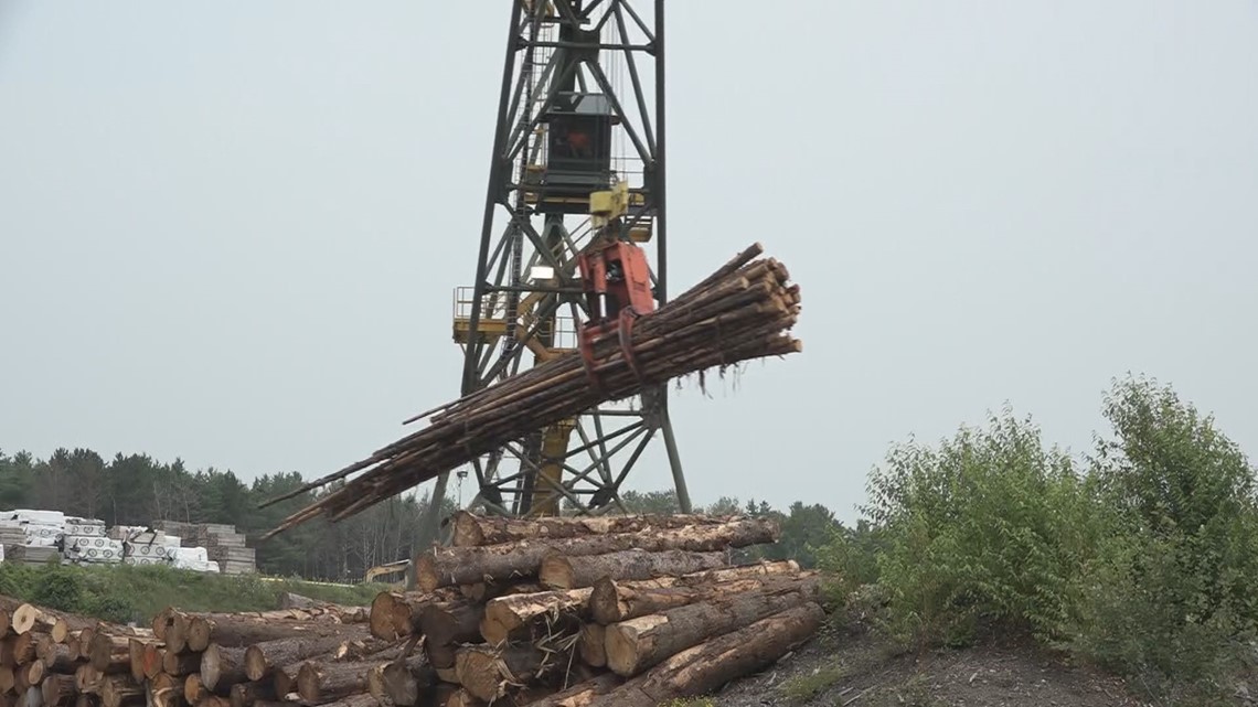 Pilot program to help boost workforce in forest product sector - Vimarsana News