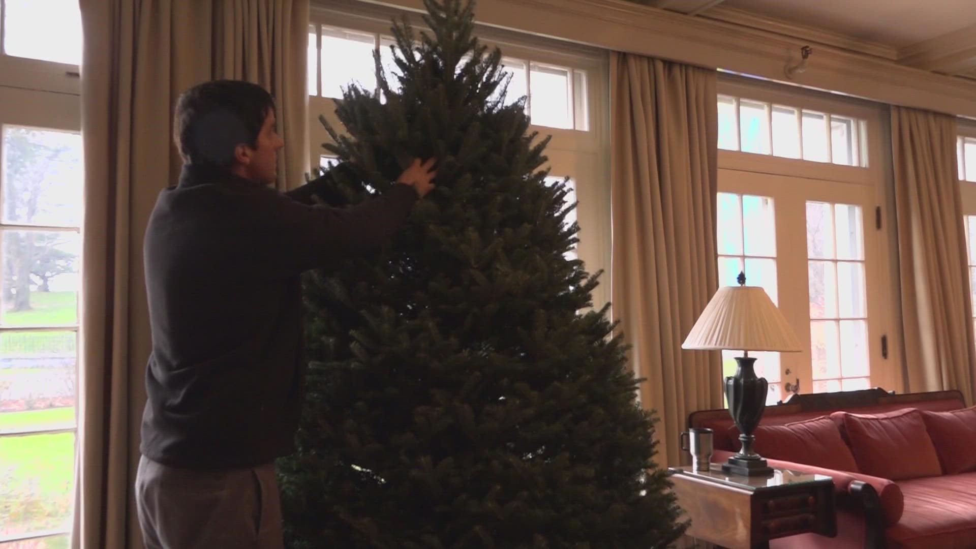 Three award-winning Christmas trees are being displayed at the Blaine House this holiday season.