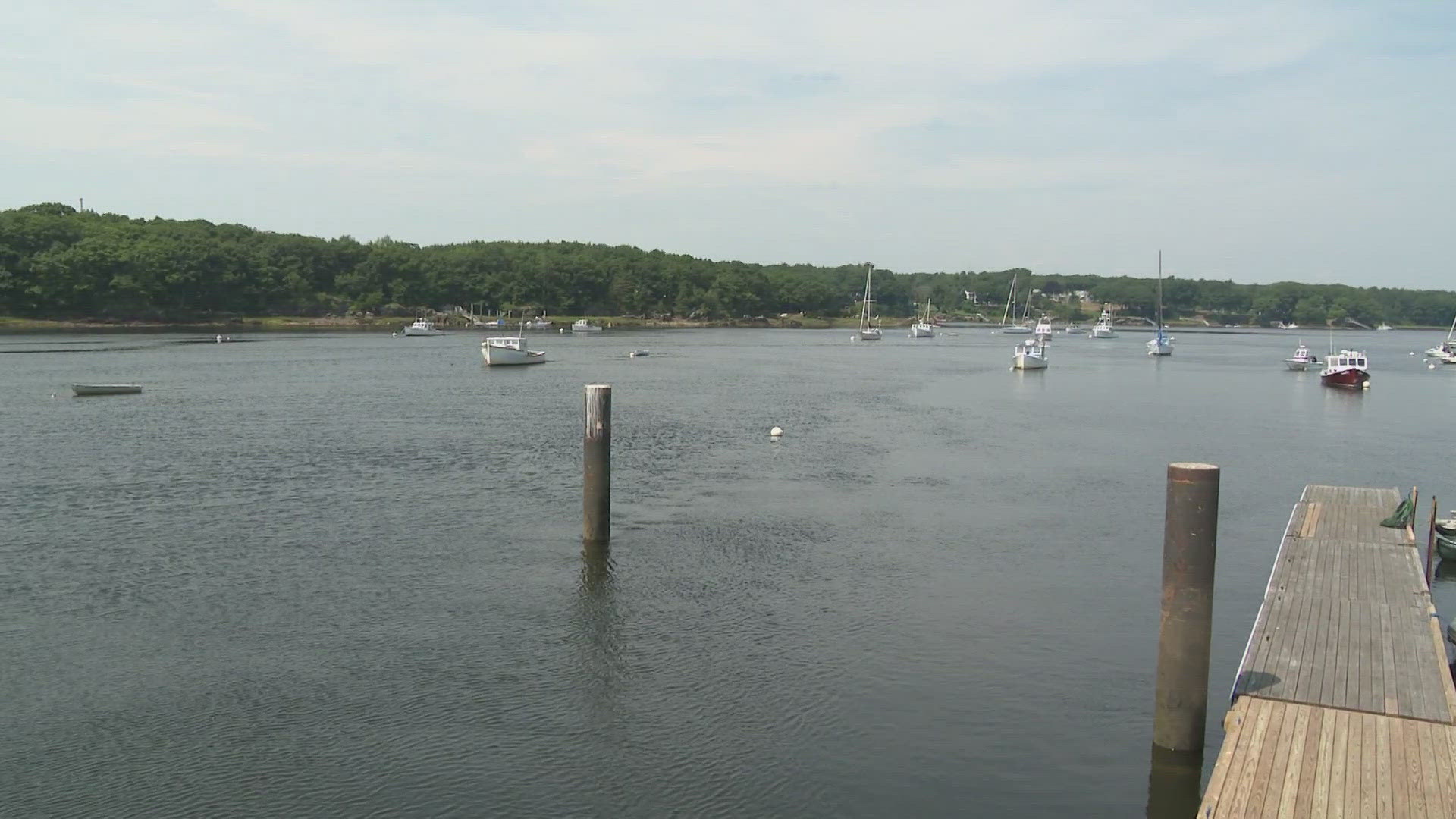 The city of Biddeford will now hire a private firm to assess a pier project after Biddeford's Harbormaster was removed from the process over alleged "bias."