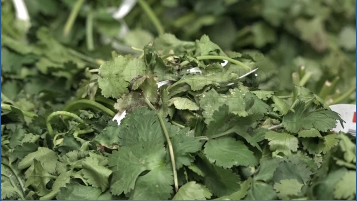 Food insecurity rises among homebound seniors in Eastern Maine amid resource strain