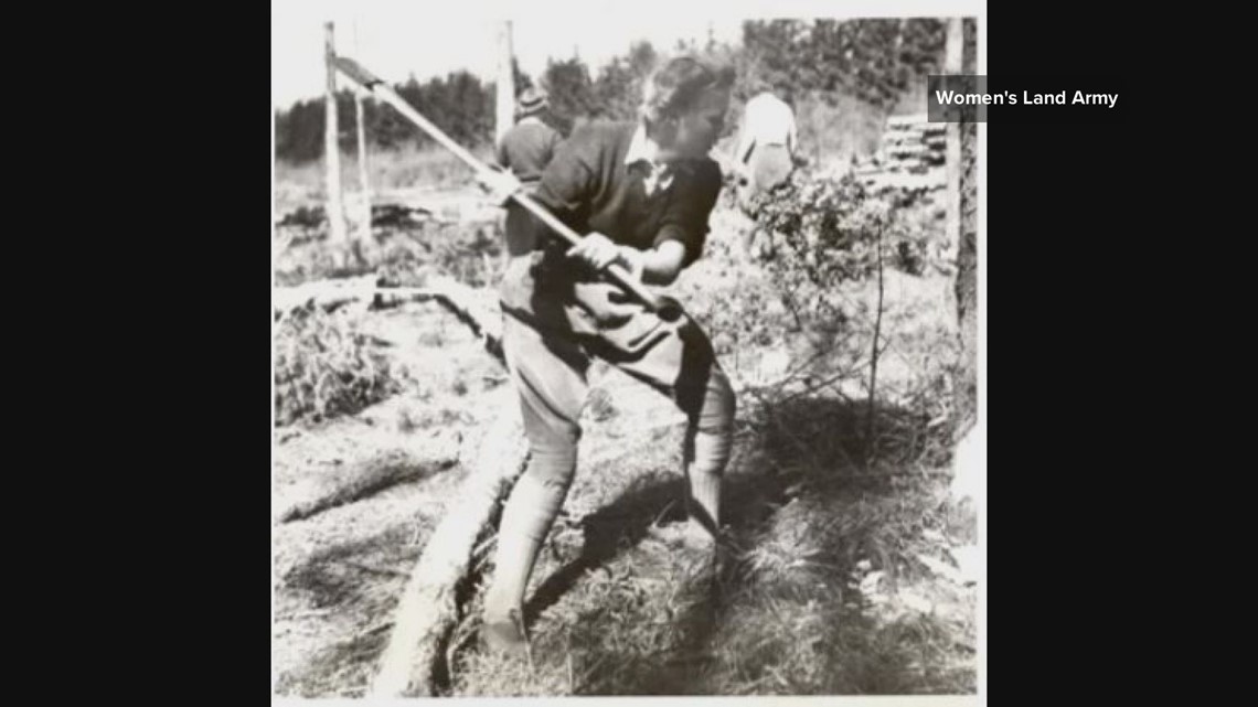 Lumberjack is in the dictionary, but where is lumberjill?