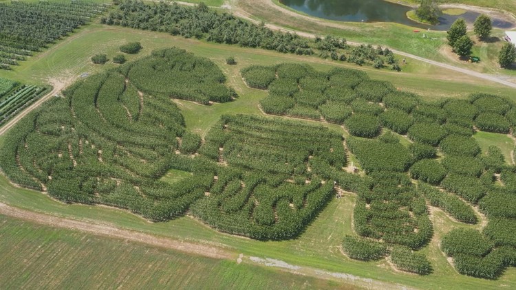 Treworgy Family Orchards among 20 finalists for best corn maze nationwide
