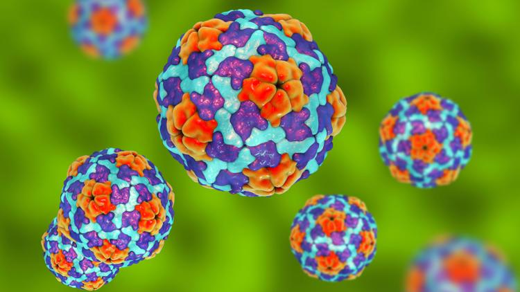 Possible hepatitis A exposure in Oakland, Maine CDC says