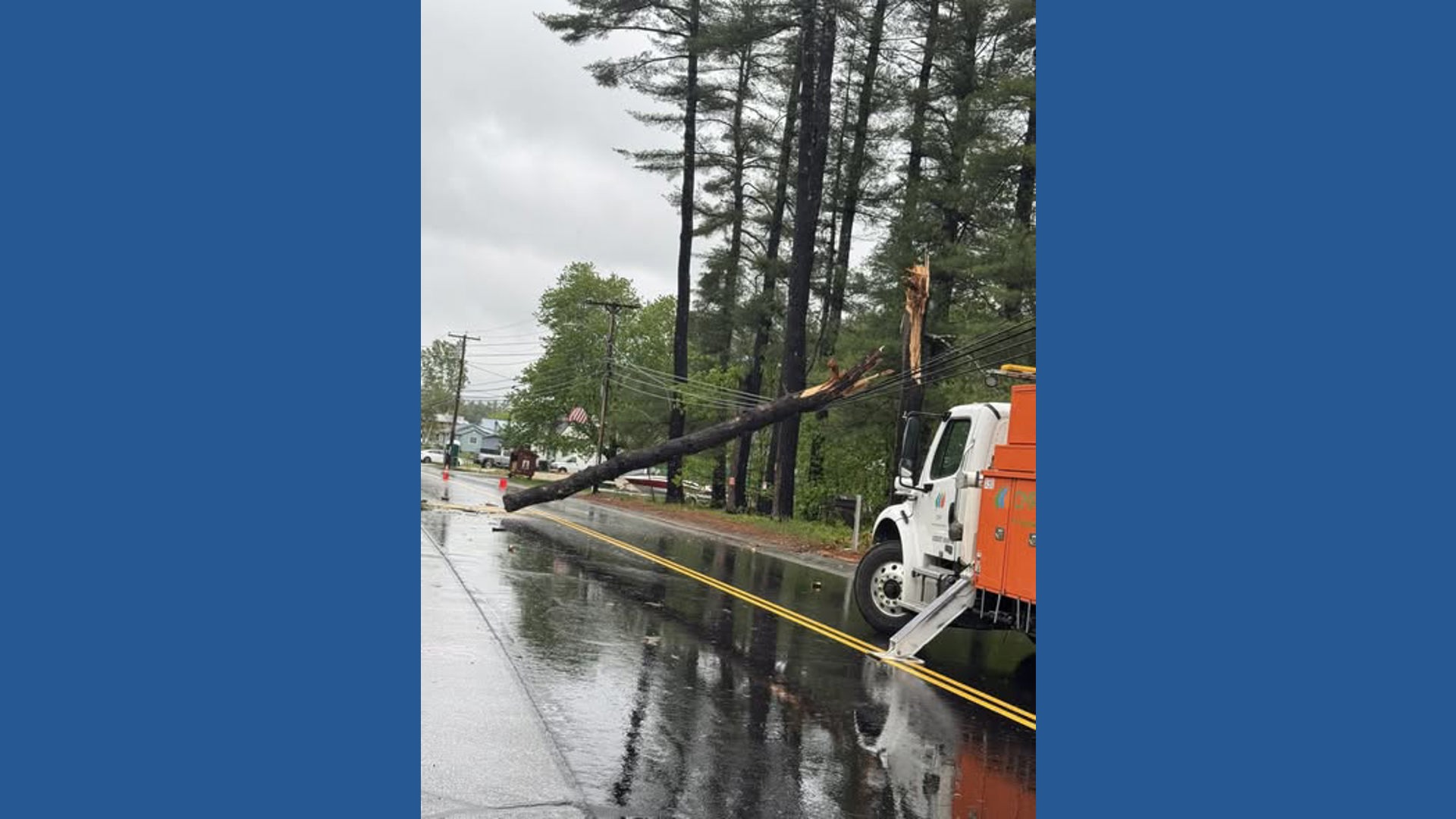 Strong winds Saturday morning knocked down trees, power lines in at ...