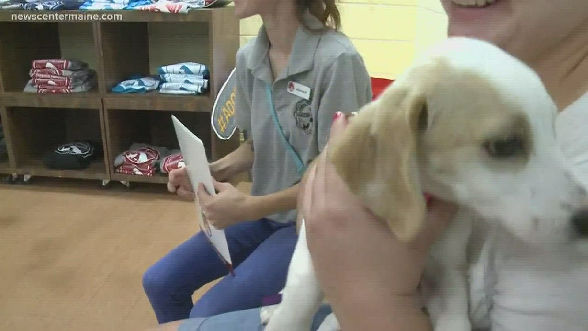 NOW: Animal shelter holding 'name your fee' event, preparing for Florence influx