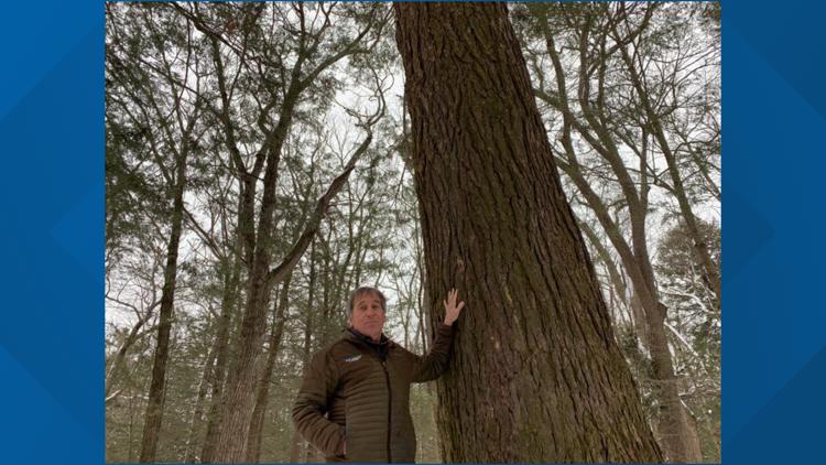 Portland arborist retires after 34 years of service