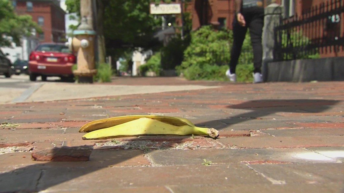 Reports of a mysterious monkey in Portland | newscentermaine.com - Vimarsana News