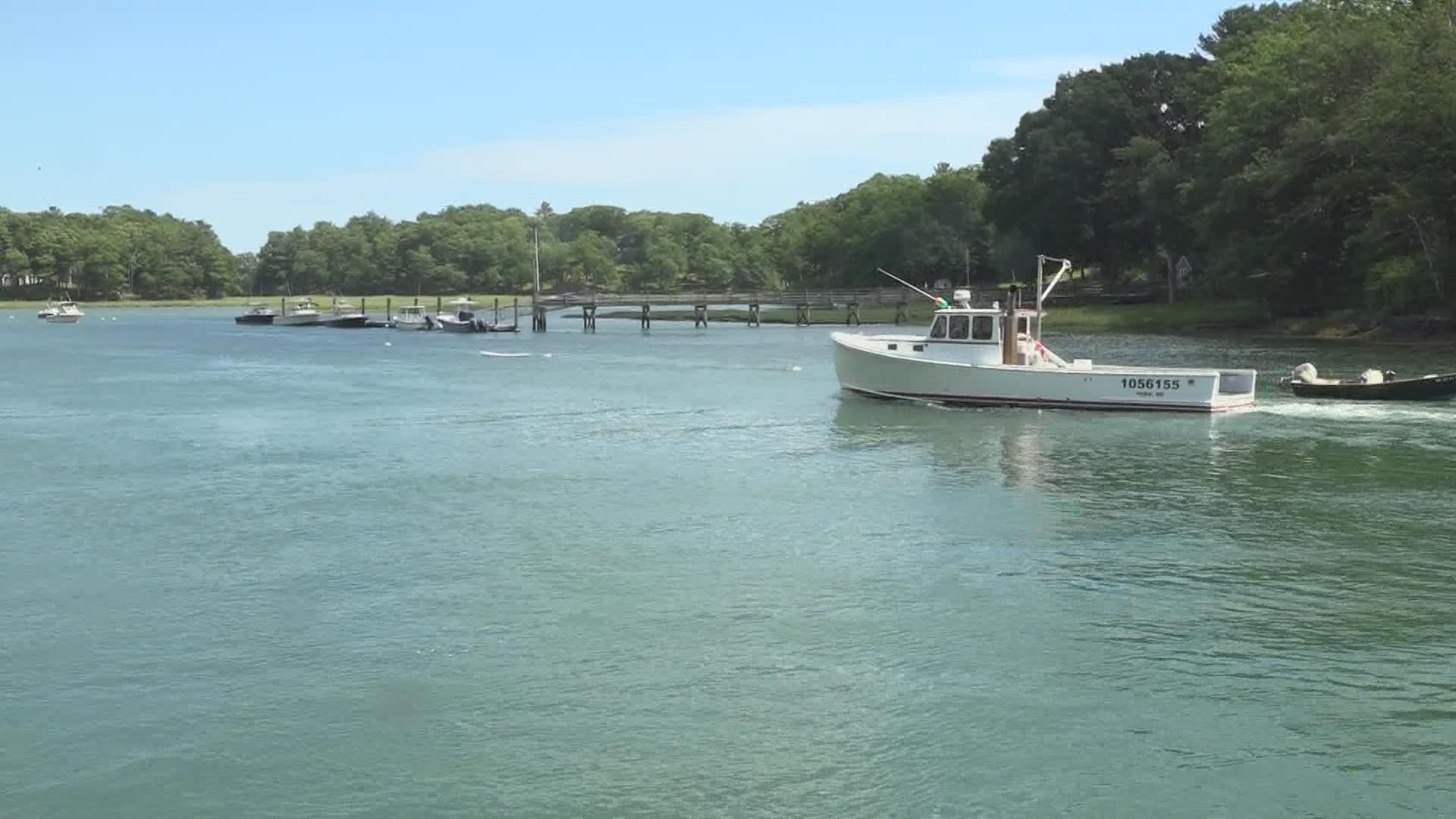 The Maine Lobstering Union's lawyer said it agreed to drop the part of the lawsuit that fights a federal closure impacting hundreds of lobster fishers.