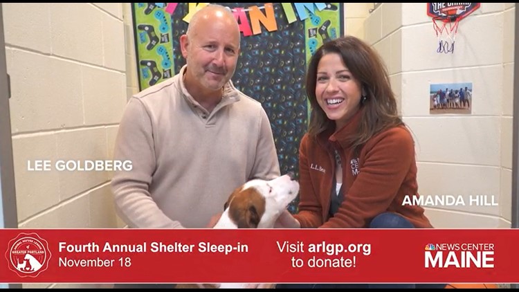 Amanda Hill and Lee Goldberg are back for this year's Animal Refuge League of Greater Portland Shelter Sleep-In