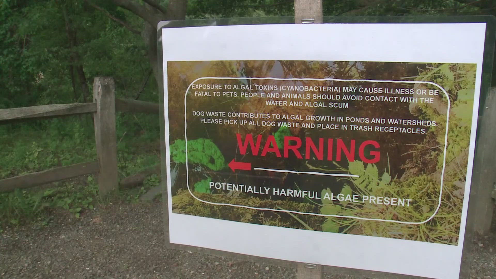 South Portland Parks and Recreation alerted the public of a toxic algae called cyanobacteria growing in the park's ponds, which can be fatal if pets ingest it.