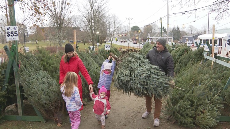 Inflation costs hit Maine Christmas tree industry