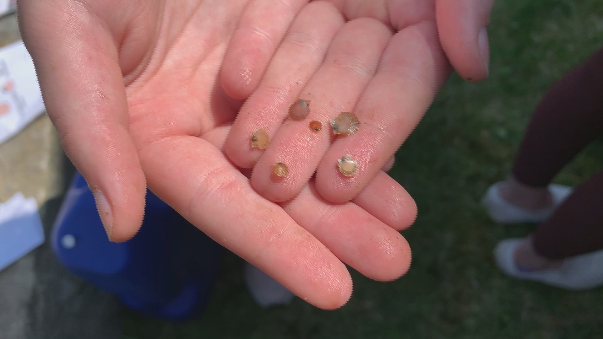 Hurricane Island Center for Science and Leadership in Rockland makes the water an outdoor classroom for students to learn the science of the scallop fishery.