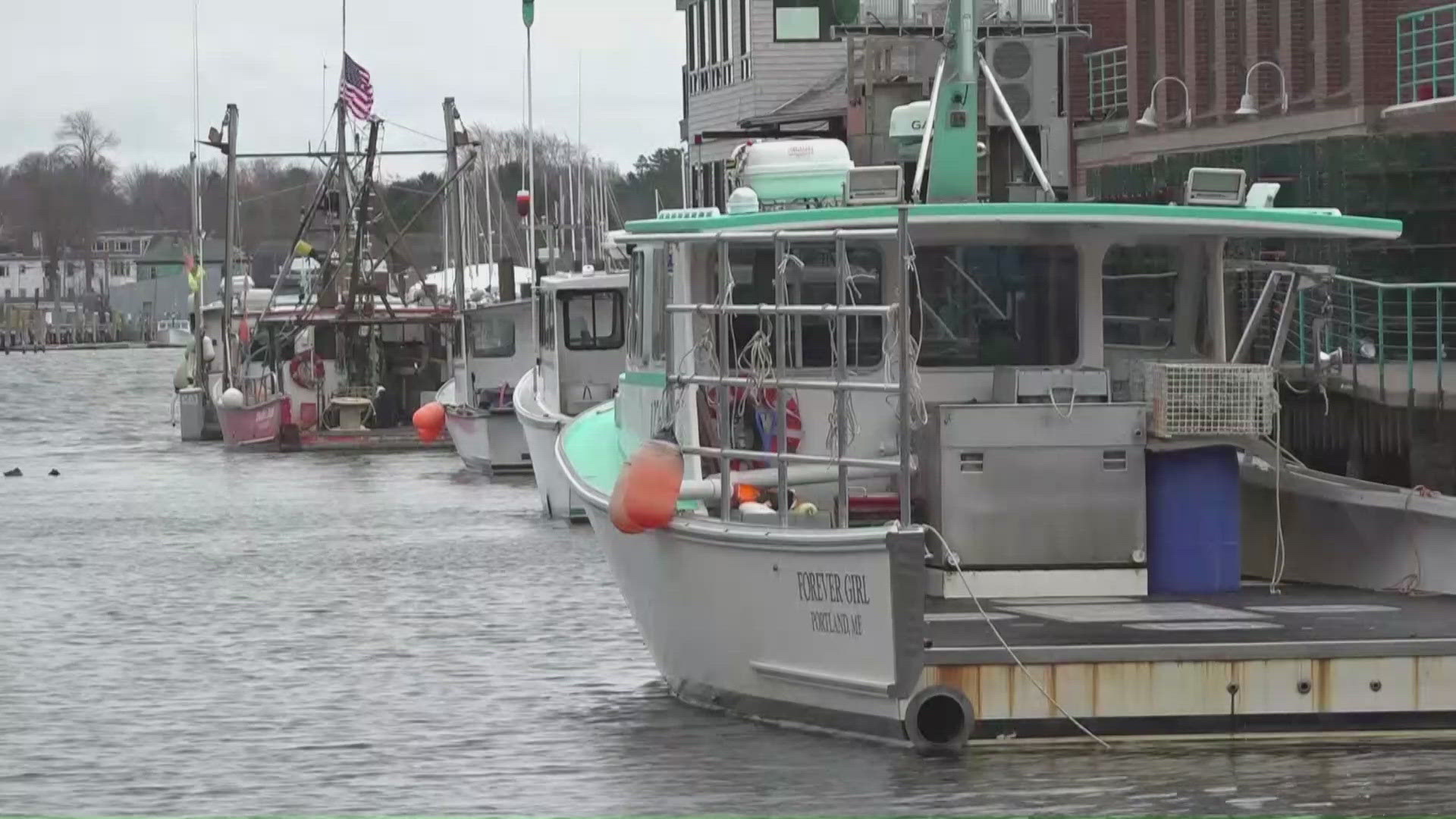 Canada Removes Seafood From Counter-Tariffs, Relieving Maine Lobster Industry - News Directory 3