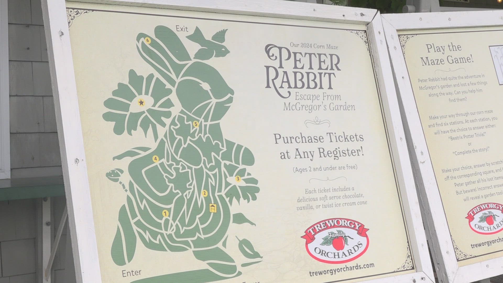 The maze, featuring Peter Rabbit from Beatrix Potter's classic tales this year, was voted best by USA Today's 10BEST Readers' Choice Awards.