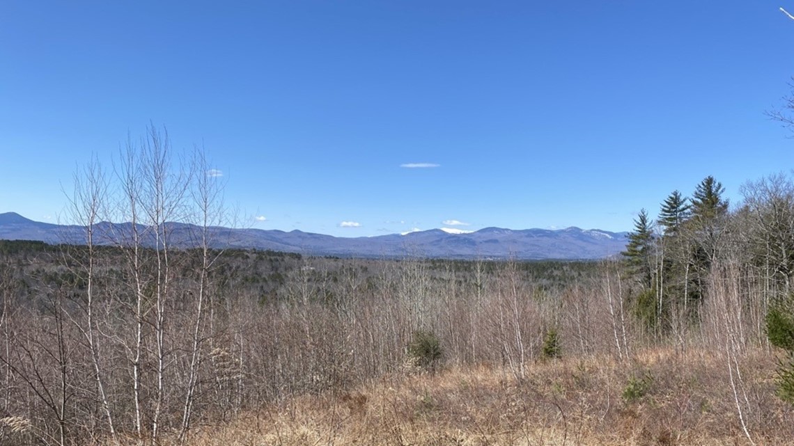 Western Maine town votes to block proposed solar farm - Vimarsana News