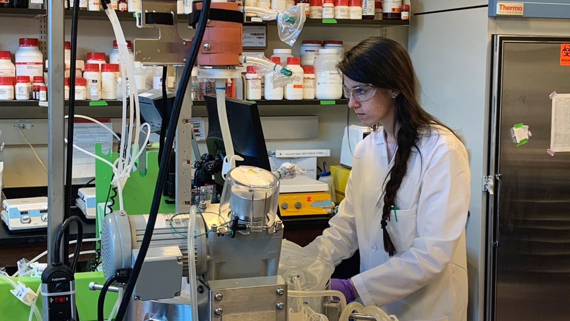 Maine faces record Lyme cases; new antibody shot could offer protection by 2029