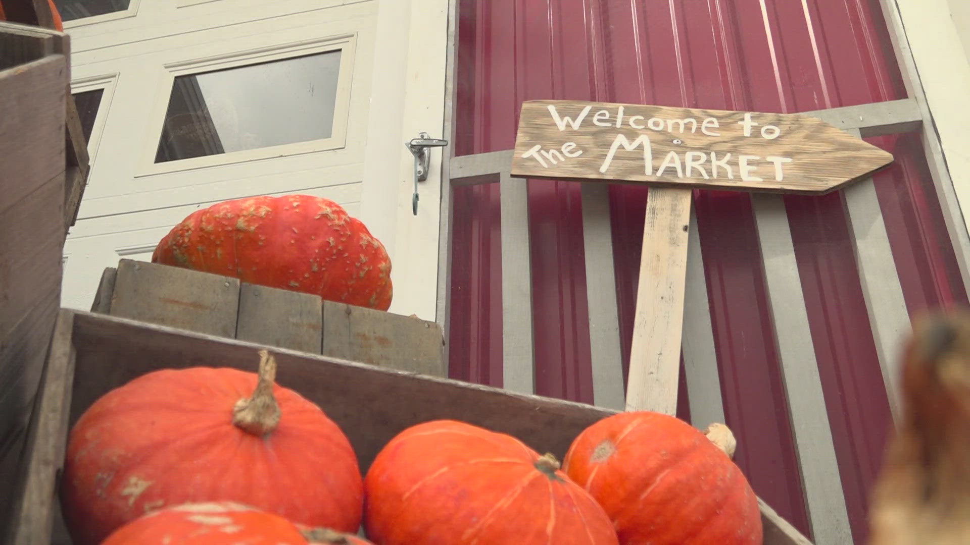 A beautiful summer means different things for different people. For workers at Alewive's Brook Farm, it means their more than 30 kinds of pumpkins can thrive.