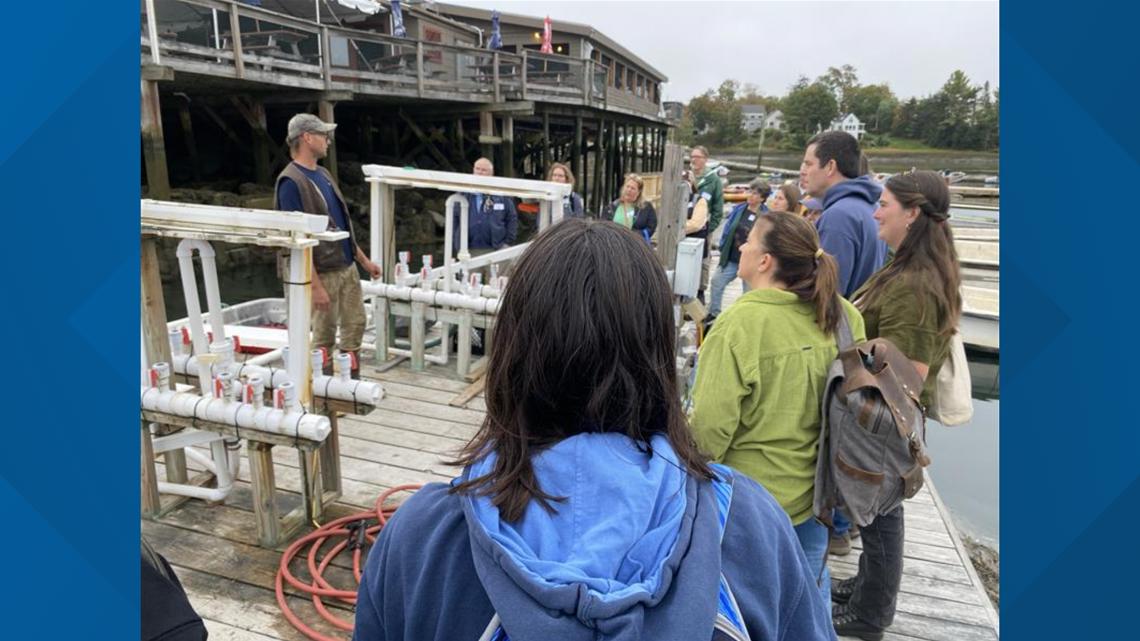 SEAMaine Educator Summit immerses teachers in aquaculture - Vimarsana News