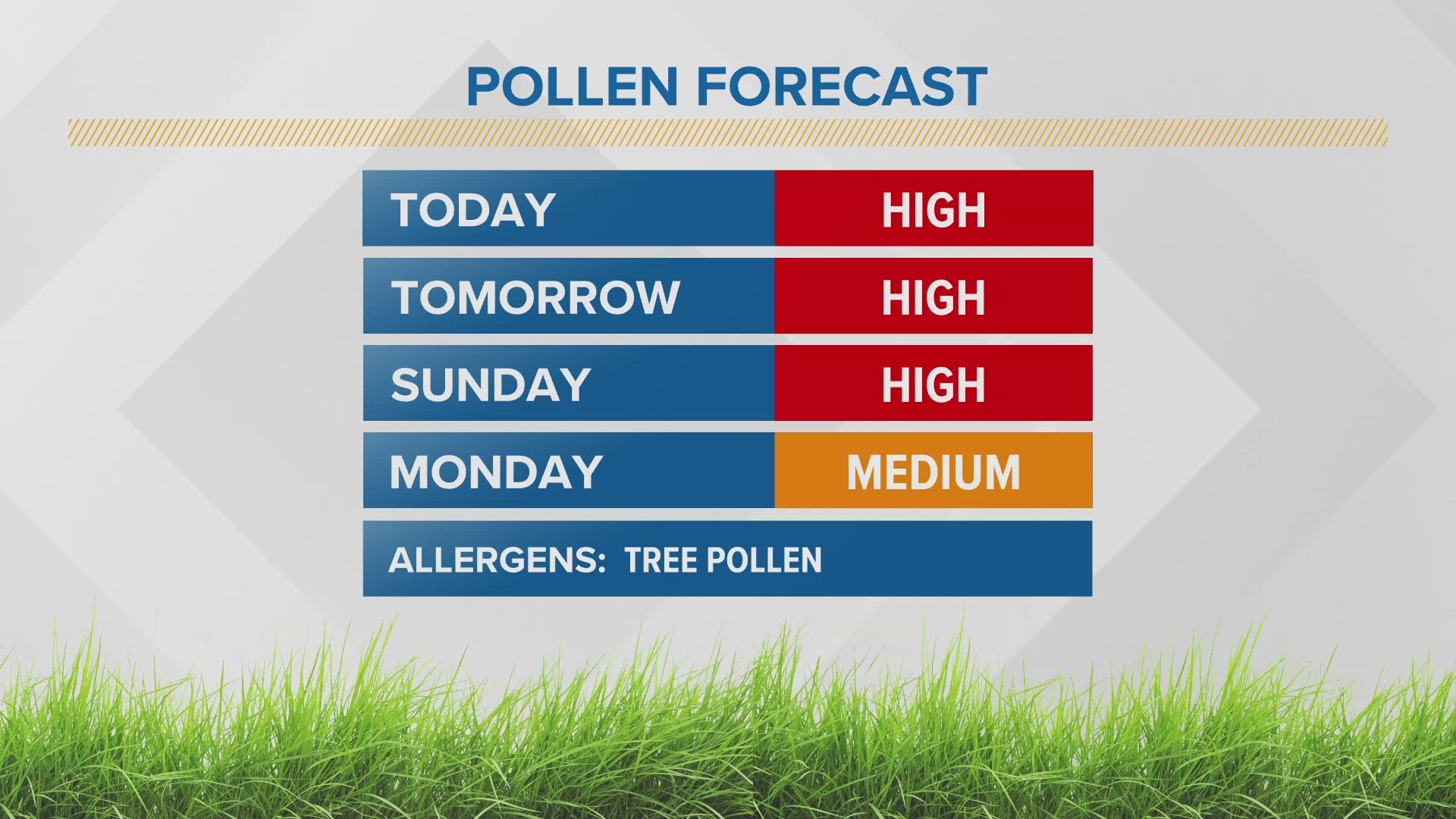 Allergies in Texas: A year-round party