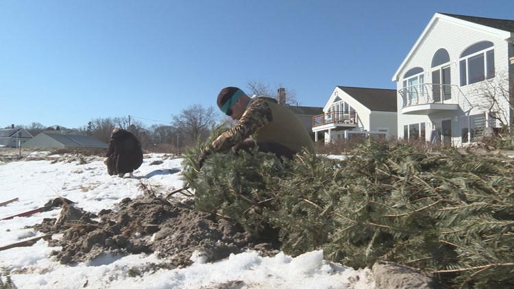 South Portland trying outside-the-box strategy to restore dunes