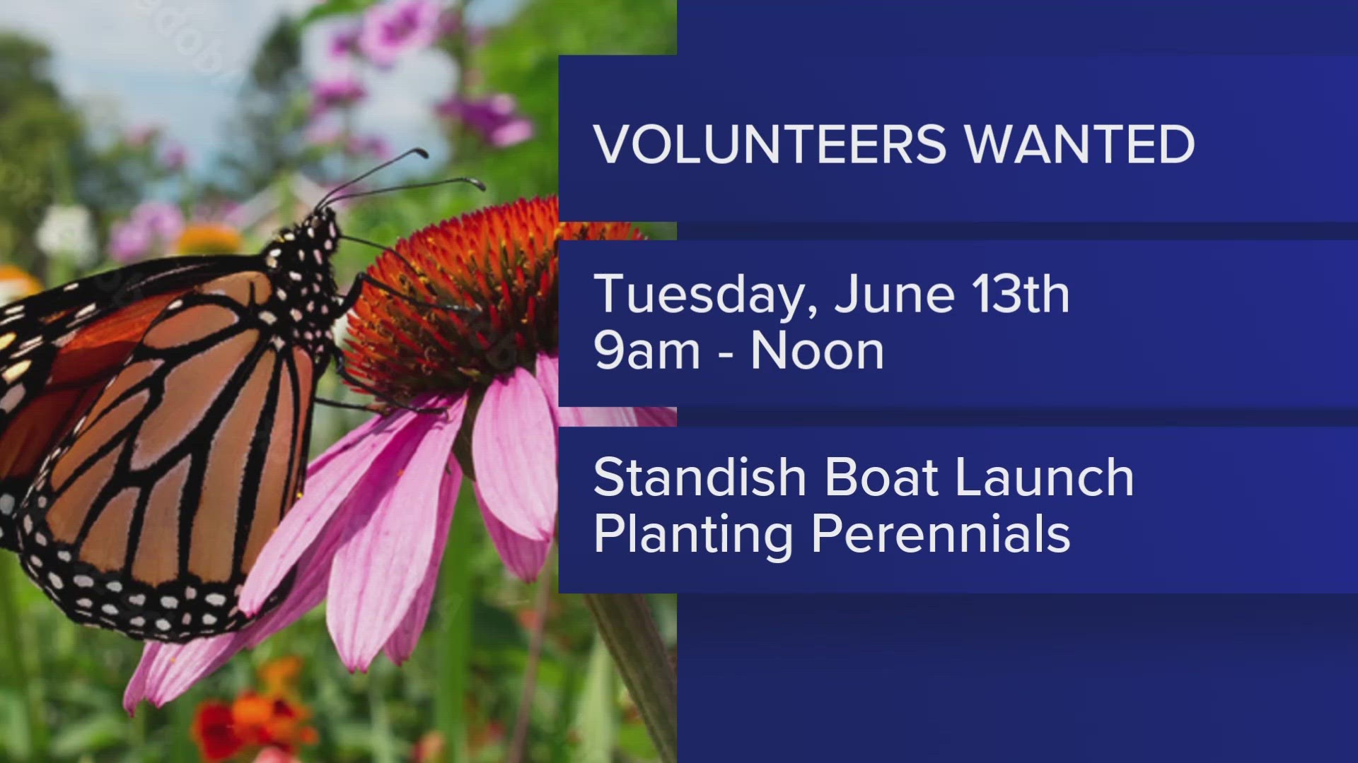 The Portland Water District and the Standish Parks and Rec Department are asking for volunteers to help plant a garden that will help fight pollution.