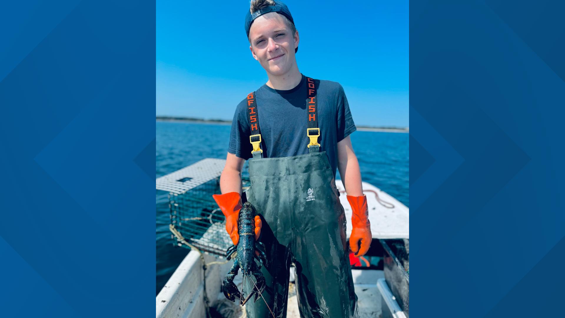 Maine boy catches rare blue lobster