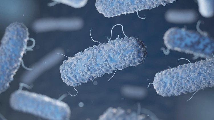 5 people at New Hampshire campground developed Legionnaire's disease