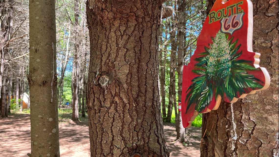 Cannabis friendly campground in Maine a booming destination - Vimarsana News