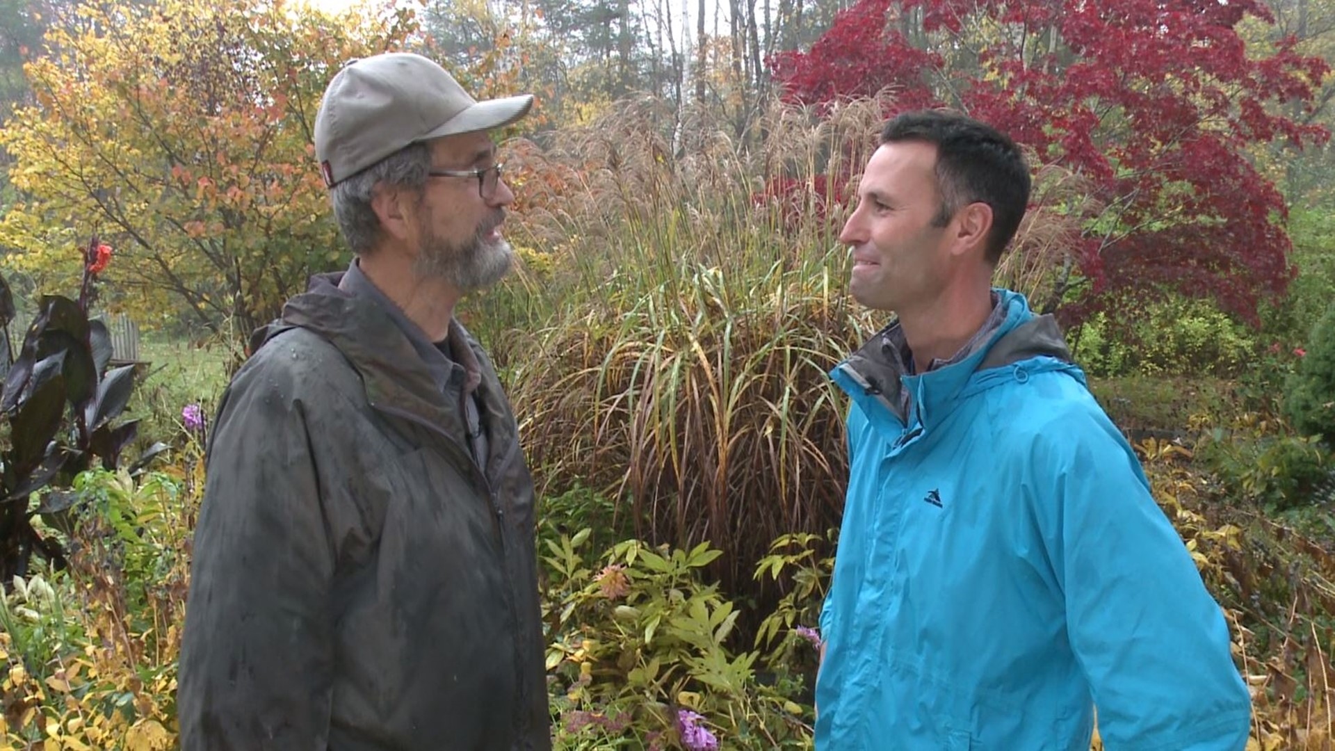 It's time to put the gardens to bed for the winter. GWG checks in with Master Gardener Tom Witwicki to learn more.