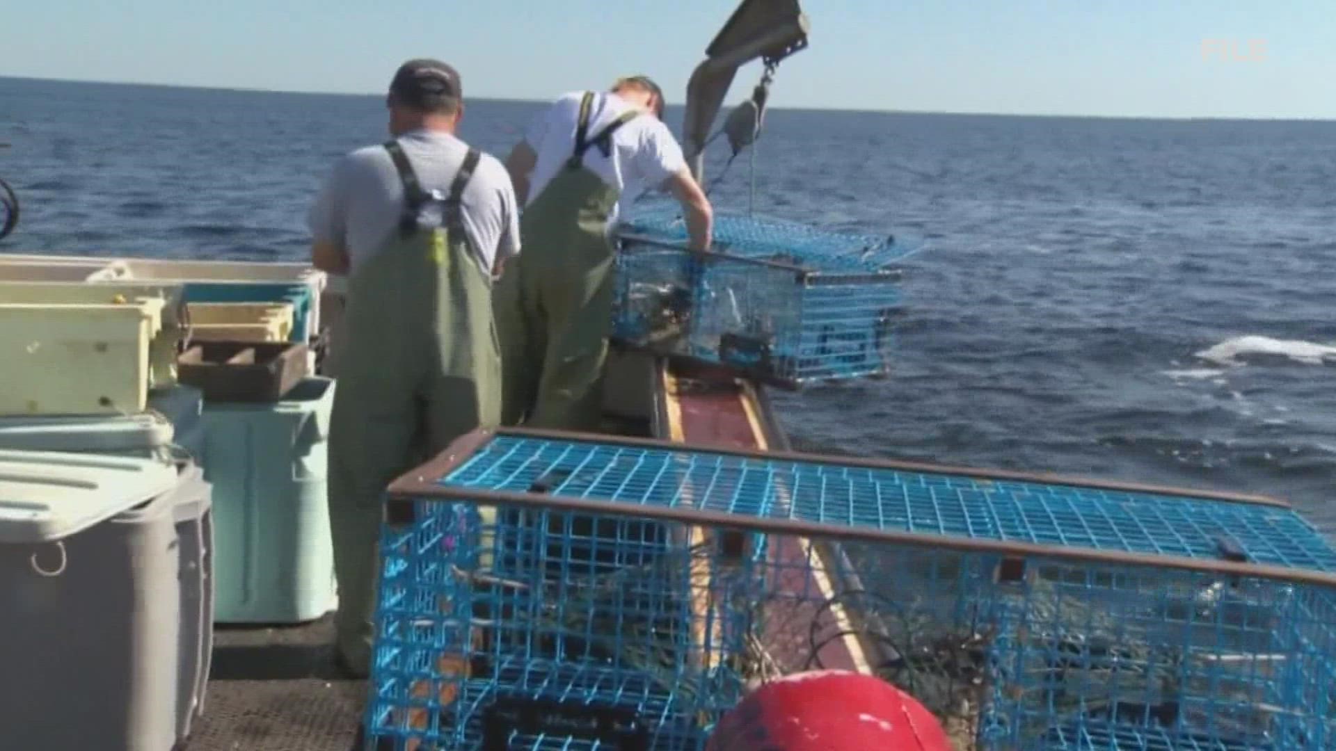 A U.S. appeals court reinstated a ban on lobster harvesting in hundreds of miles of productive fishing waters off the Maine coast.