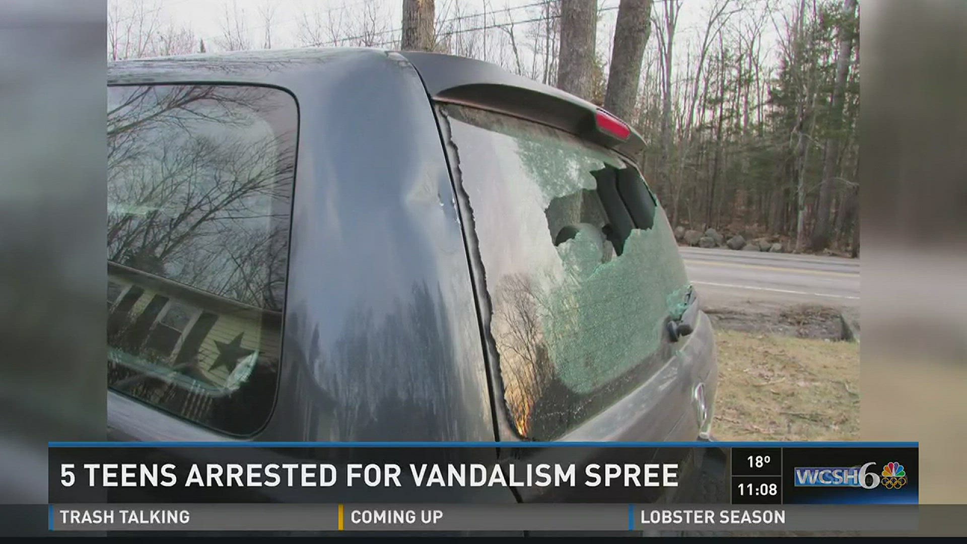 5 teens charged with vandalism spree