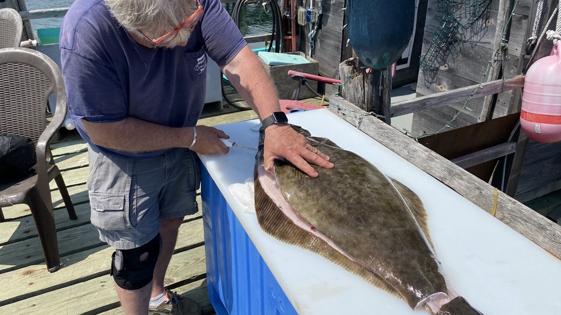Halibut fishing a late spring passion for some on the Maine coast