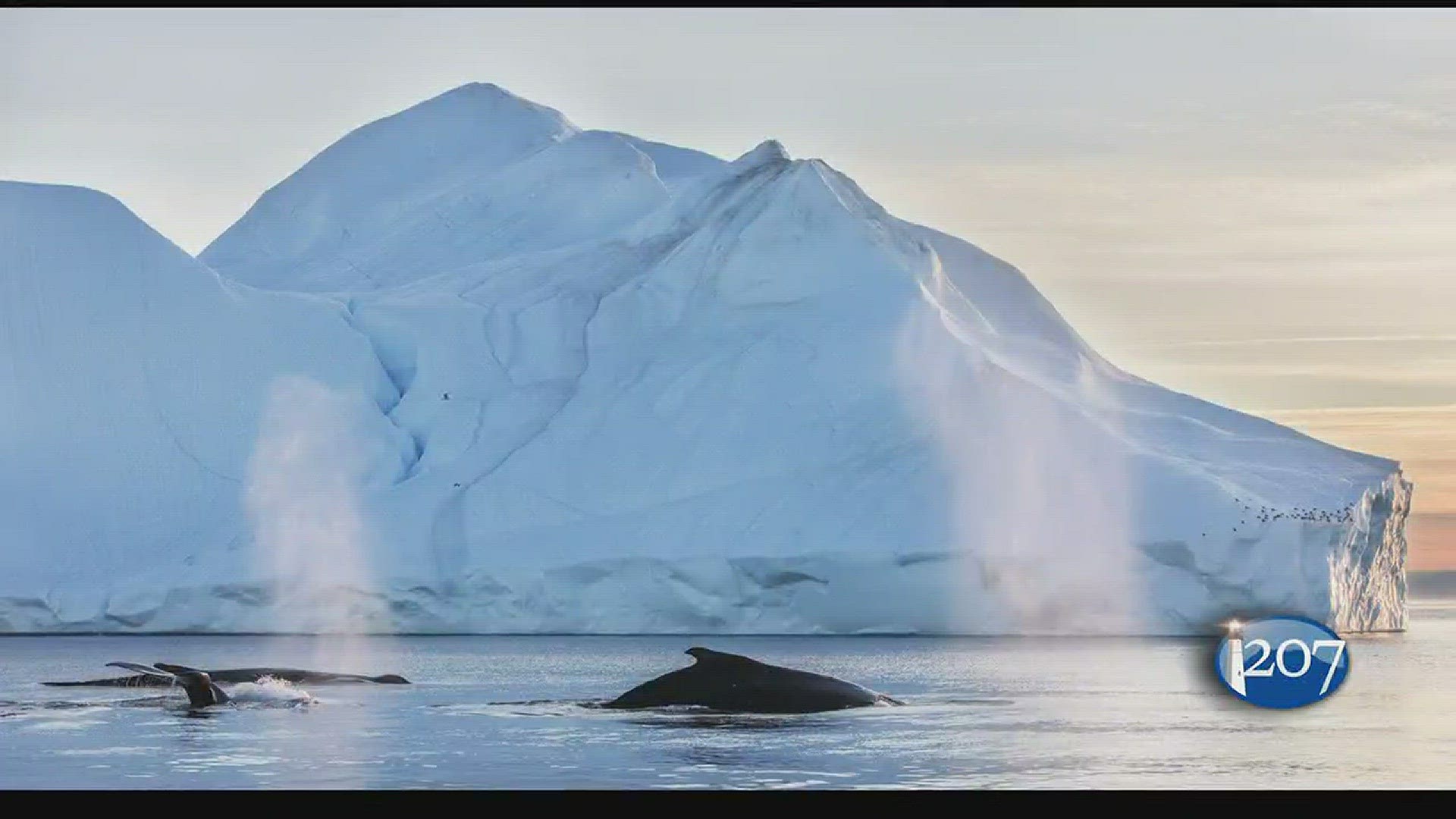 Peter Ralston's "trip of a lifetime" to the Arctic