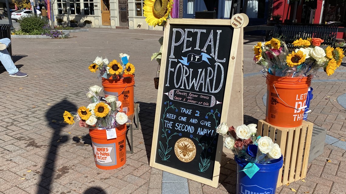 Bangor flower shop encourages people to 'Petal It Forward' Flipboard