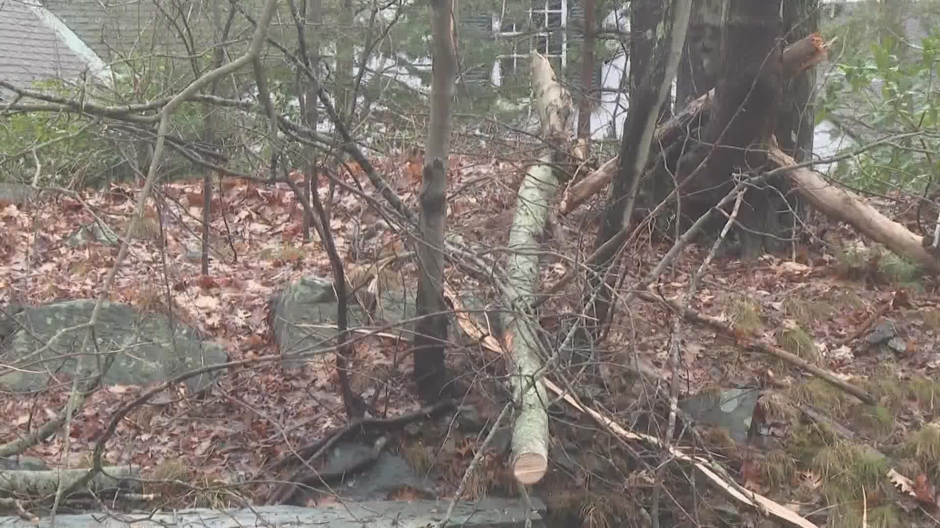 Officials say it may take days to restore power after Friday's brutal wind storm.