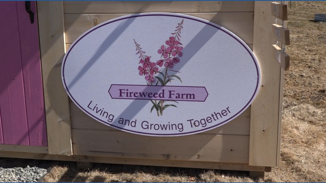 Family business in Bangor opens doors for people with cognitive disabilities