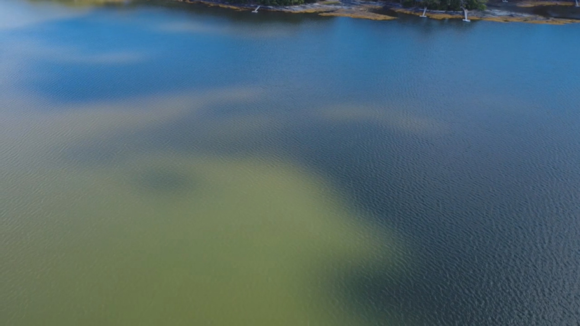 Marine officials continue monitoring Casco Bay algae bloom after ...