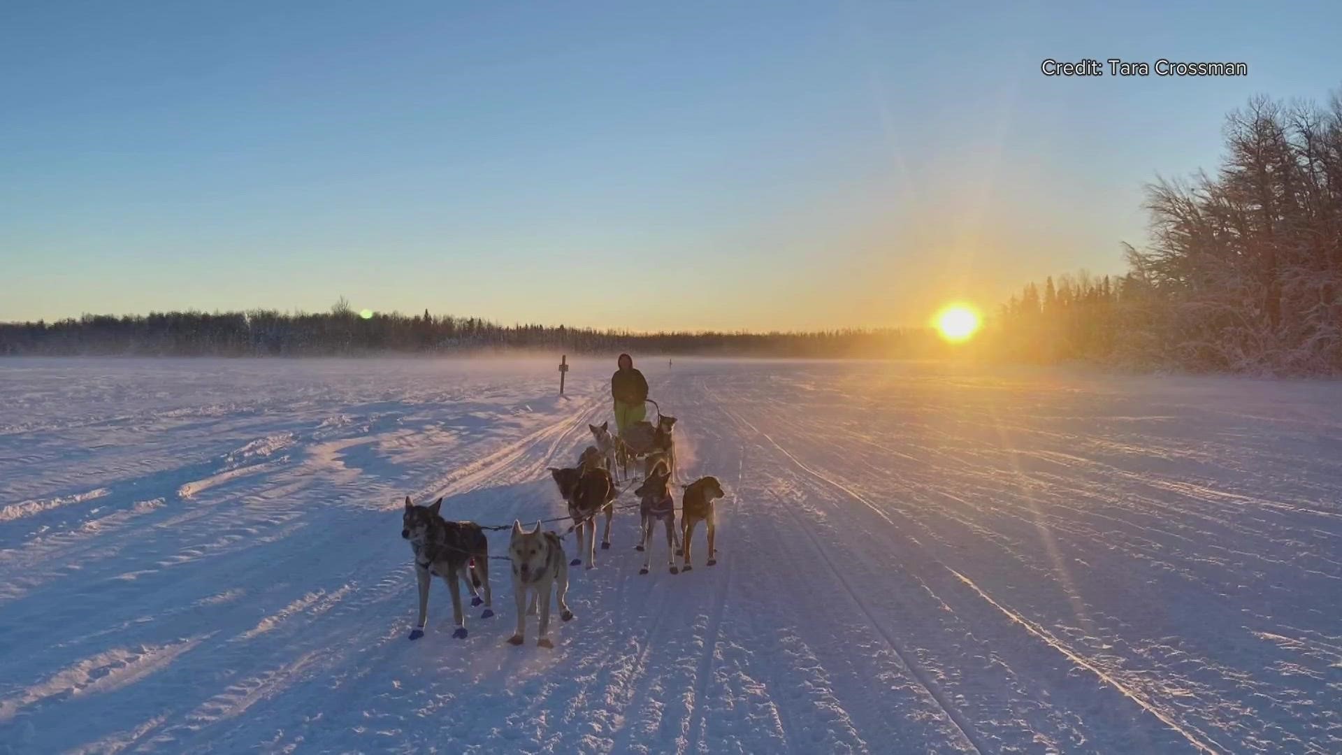 Topsham native Tara Crossman, 16, and her team are set to race in the Willow Junior 100 and the Junior Iditarod. The first race starts Friday.