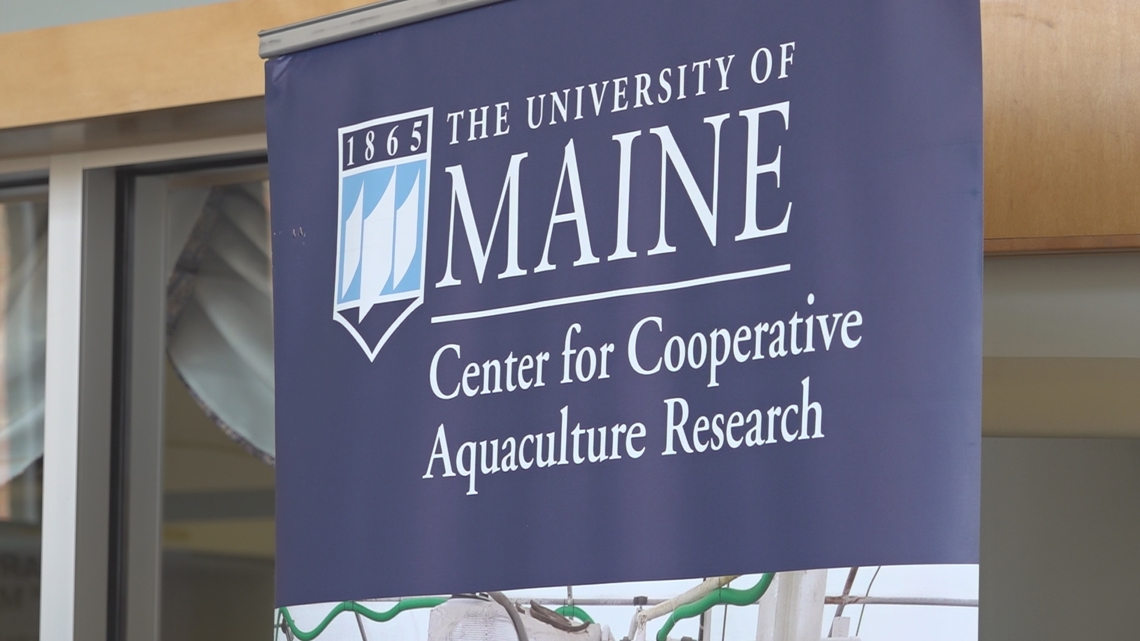 University of Maine students explore blue economy careers at summit