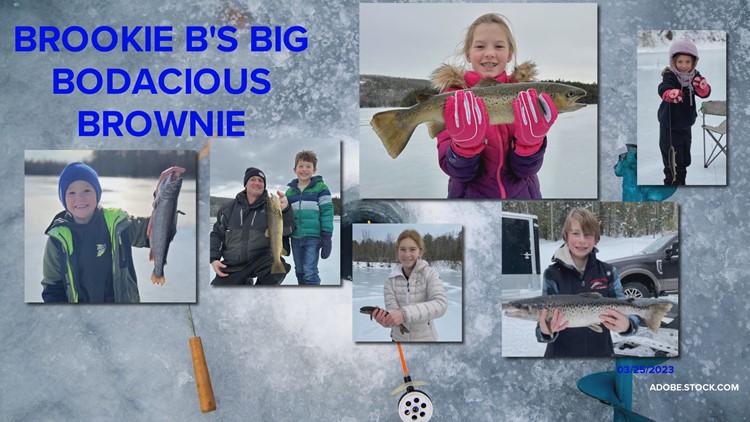Big Ol' Fish: Brookie B's Big Bodacious Brownie