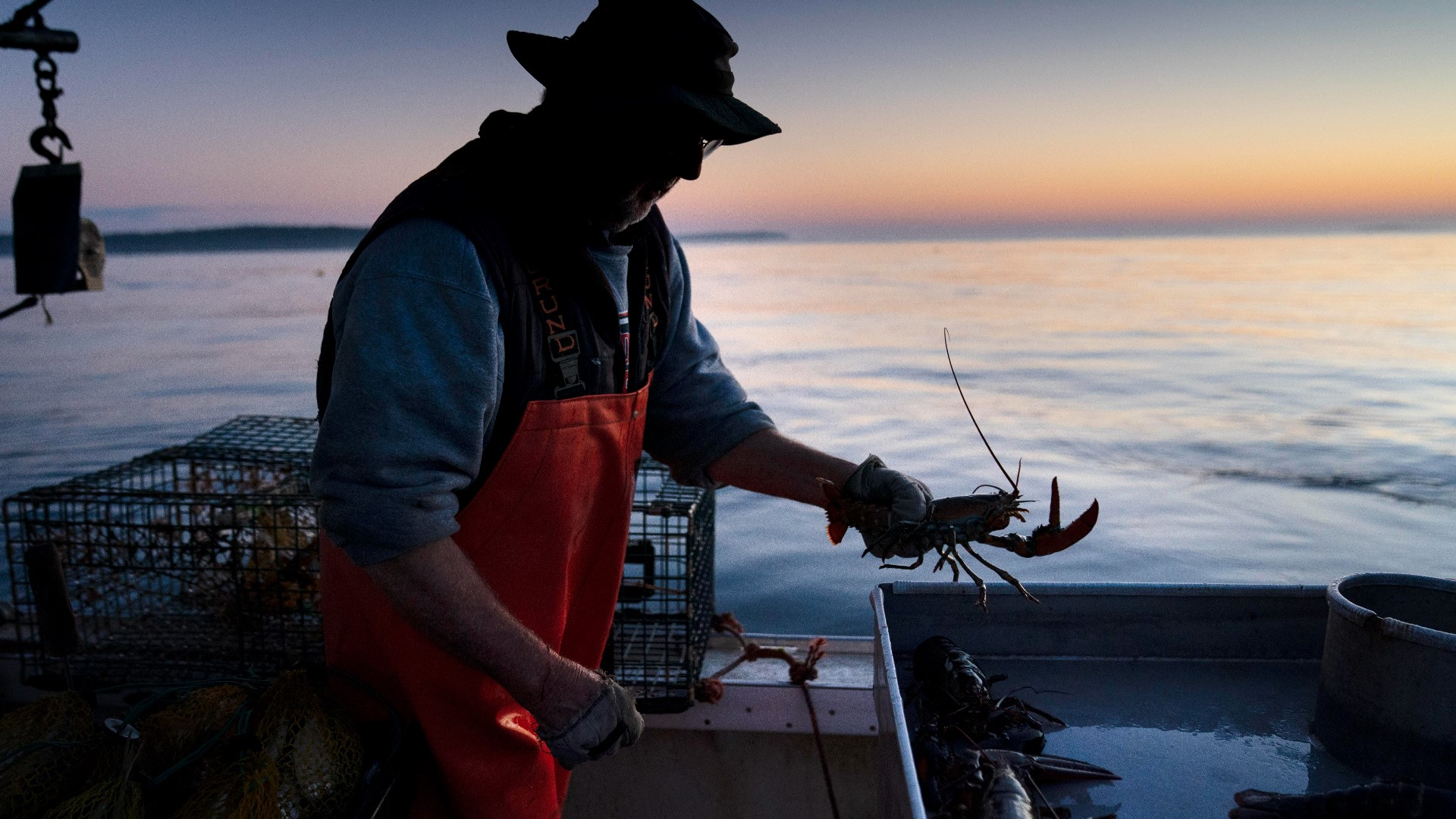 The total of 93.7 million pounds of lobsters caught was the lowest figure since 2009, according to data released Friday by the Maine Department of Marine Resources.
